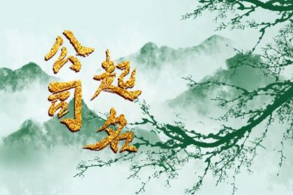 公司起名通则